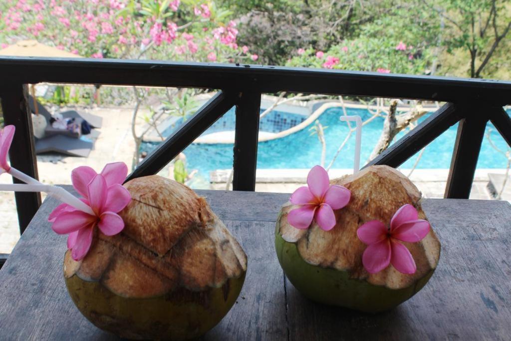 Lombok Coconut Hotel Mangsit Exteriér fotografie